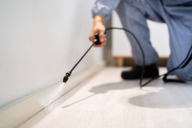 Licensed Pest Control service in Hamtramck, MI - Show Me Pest Control